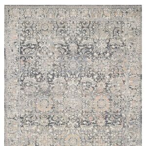 LOLOI NWT lucia area rug -grey mist -2x3